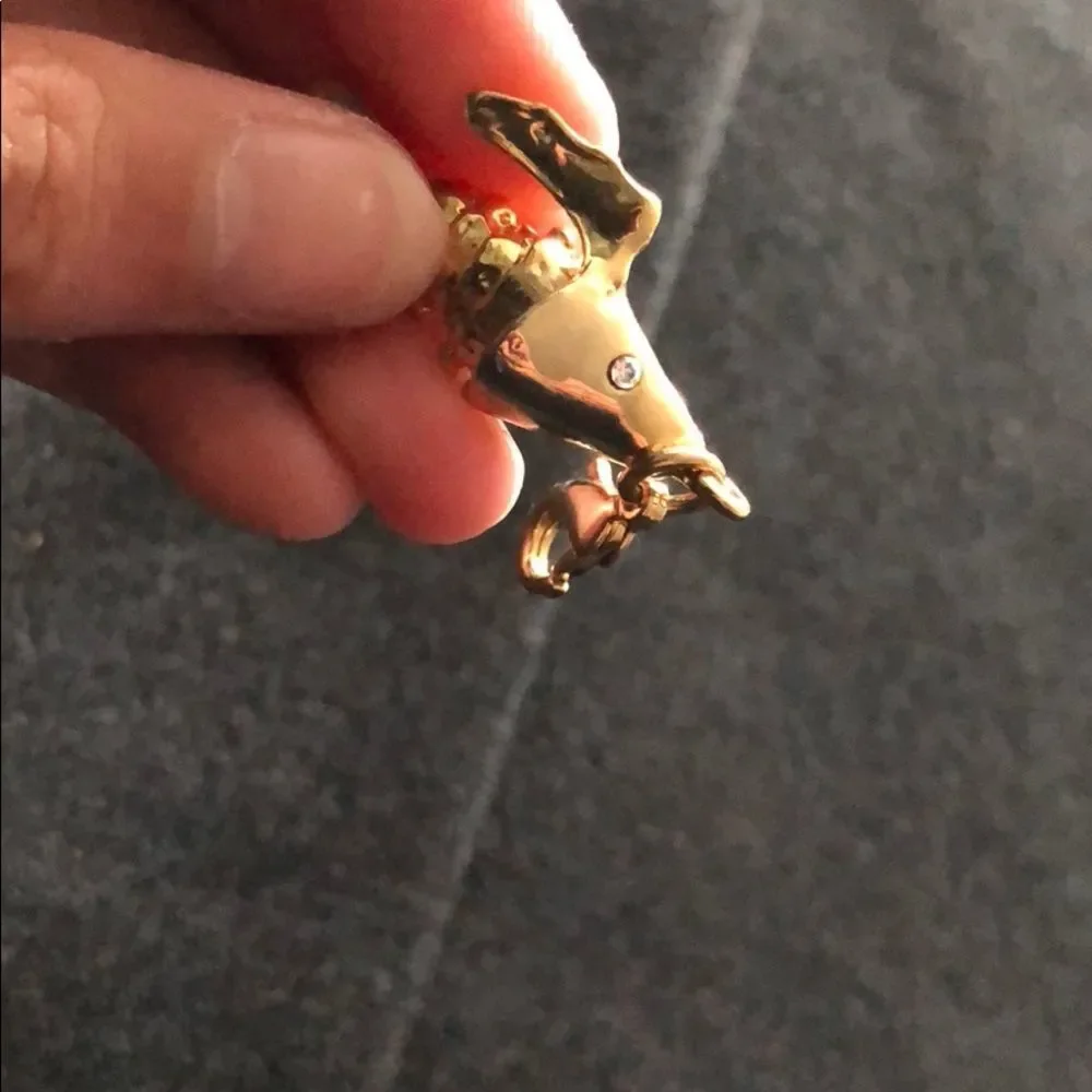N/A gold fish